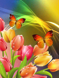 Imagenes Gifs: Mariposas