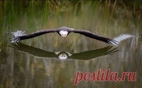 Интересные новости