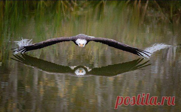 Интересные новости