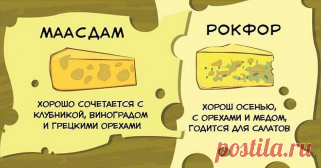 Полезные хитрости от шеф-повара, которые экономят время и нервы Те, кто часто принимает гостей дома, знают, как готовка может утомлять: масло шипит и брызжет, картофель подгорает, а купленные продукты оказываются несвежими. А в конце вечера еще и выясняется, что с