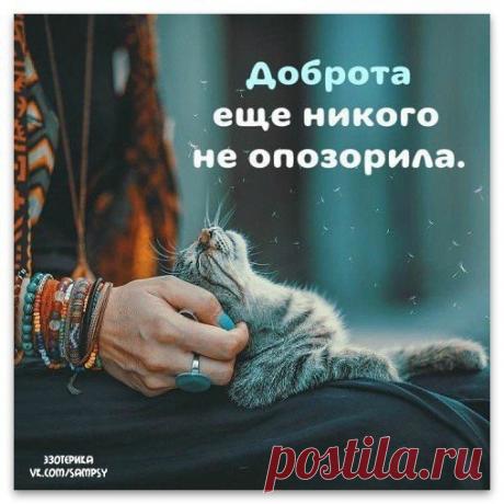 ☆ ЭЗОТЕРИКА ☆