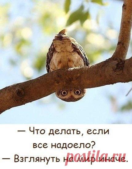 Елена Рыжкова