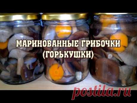 Маринованные грибы горькушки.  Рецепт моего мужа