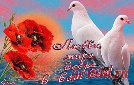 Все умирает на земле и в море, Но человек суровей осужден: Он должен знать о смертном приговоре, Подписанном, когда он был рожден. Но, сознавая жизни быстротечность, Он так живет - наперекор всему, Как будто жить рассчитывает вечность И этот мир принадлежит ему.