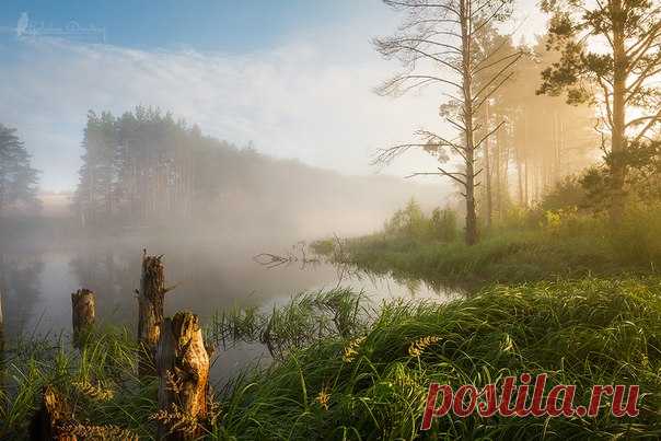 Орловская область. Автор фото: Дмитрий Голубев.