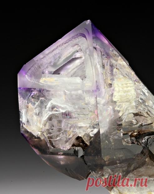 Survival of the Strangest