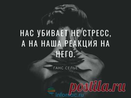 40 вдохновляющих цитат, которые рассеют ваши тревоги и стресс :: Инфониак