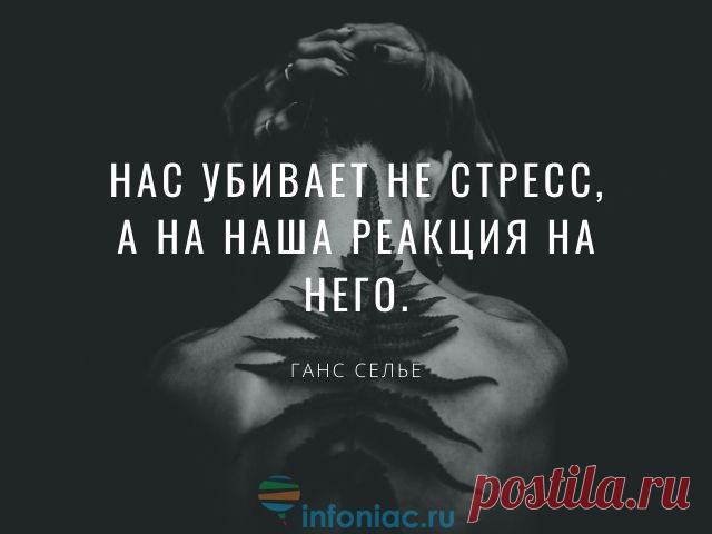 40 вдохновляющих цитат, которые рассеют ваши тревоги и стресс :: Инфониак
