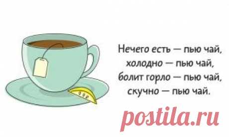 44 страшилки русской грамматики
