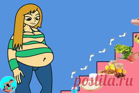 ЭТАПЫ ДИЕТЫ "ЛЕСЕНКА"

1. Очищающий
Название первого этапа или первой ступени говорит само за себя. В этот день Вы будете заниматься очищением своего организма. Этап очень важный и полезный, отнеситесь к нему серьезно! Он помогает усилить воздействие следующих этапов, мягко подготавливая организм к похудению. Плюс на этом этапе происходит хорошее очищение организма от шлаков и токсинов. А в качестве приятного бонуса вы сможете уже потерять от 1 до 2 кг!