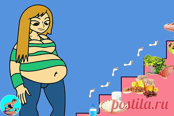 ЭТАПЫ ДИЕТЫ 