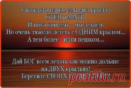Весь мир начинается с мамы…
И в сердце хранится портрет
Той женщины ласковой самой,
Которой родней в мире нет…
И с первой минуты рожденья, Она, словно ангел земной,
Подарит любовь и терпенье…
Она за ребёнка стеной…
И каждой слезинке печалясь, Волнуется мамы душа.
Для мамы мы те же остались,
Ведь ей не забыть малыша,
Что рос под сердечком, толкался… Бессонных ночей хоровод…
Как зубик с трудом прорезался
 И мучил младенца живот…
И первой улыбки сиянье, И гордость от первых ш...