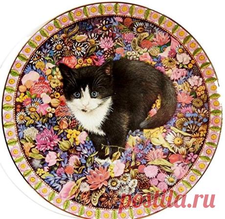 лесли энн айвори meet my cats - Поиск в Google