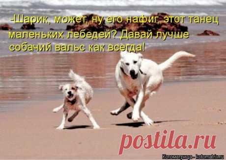 Играл на компе в рыбалку. Поставил РЕАЛИСТИЧНОСТЬ на максимум. В итоге два часа тупо просидел перед экраном. Не клевало... (котоматрицы)