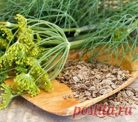 Недержание вылечил быстро
Стыдно было признаваться самому себе, что недержание у меня стало
постоянным делом. Но пришлось признаться, иначе бы и лечиться не начал. К
счастью, очень скоро узнал, что в быту недержание мочи можно излечить даже
Показать полностью...