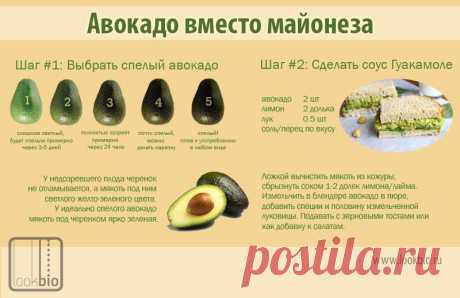 из авокадо | БУДЕТ ВКУСНО!