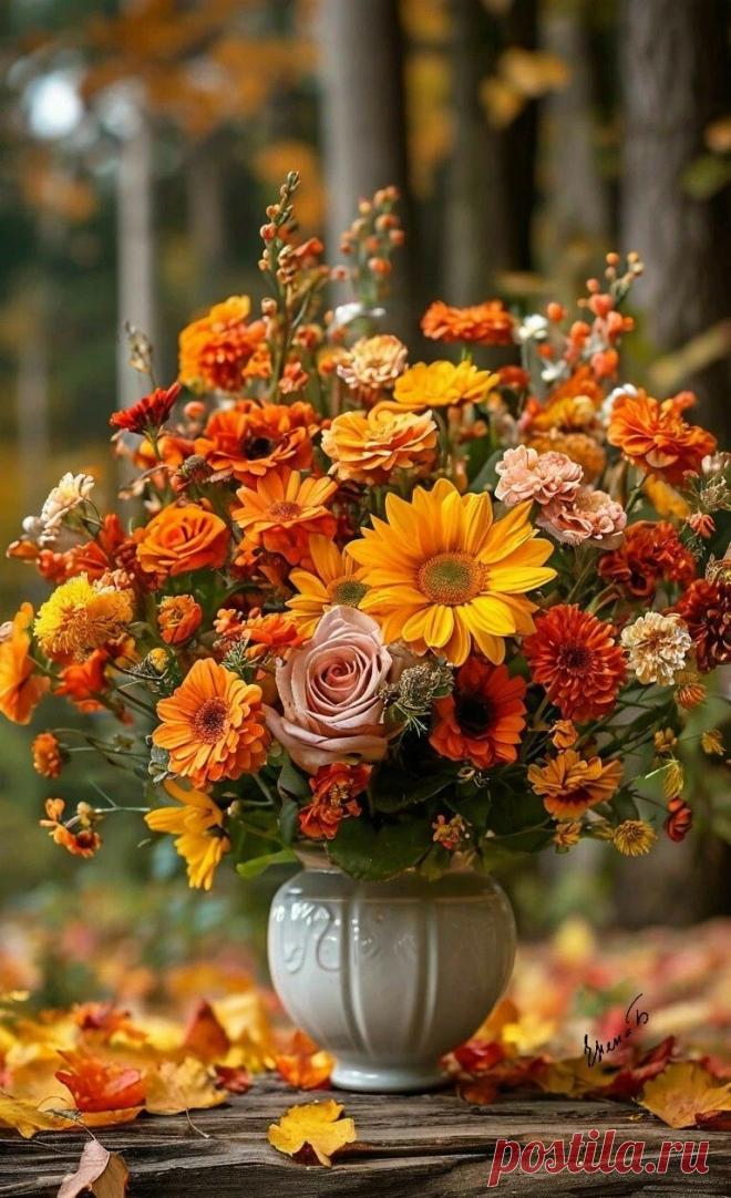 Пин на доске orange