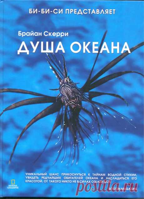 Коми-Пермяцкая центральная национальная библиотека - Наш дом - Земля
