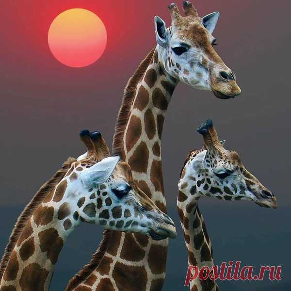 Ничего особенного, просто красивый снимок