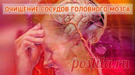 Чистка сосудов головного мозга

Всем известно, что очистка внутренних органов необходима, чтобы избавиться от токсинов, шлаков, камней, песка, наростов кальция и других вредных вещей, которые накапливаются в нашем организме в процессе жизнедеятельности.

Чистка сосудов головного мозга: фитотерапия и народные методы лечения
Показать полностью...
