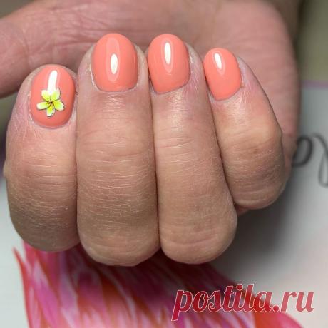 🔥🔥🔥 Instagram post by @vilen_nails | Снятие старого покрытия,комбинированный маникюр.покрытие гель-лаком. #маникюр #ногти #manicure #nogti #nails | 🔥 WAPINSTA