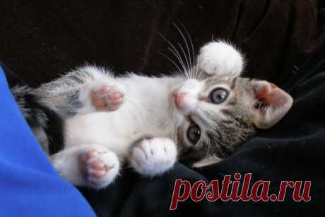 Мне хорошо!