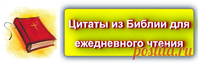 📖 Библейские цитаты на каждый день 1
https://blog-citaty.blogspot.com/2019/12/Bible-quotes-every-day-1.html

📖💬 #цитата #цитаты #Blog_citaty