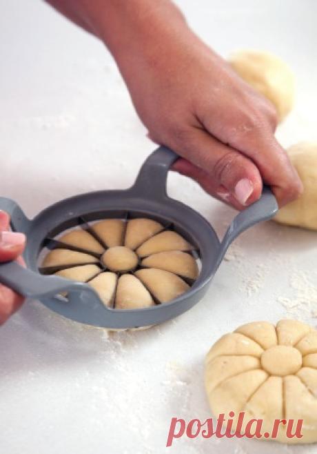 לחמניות שמש / פרח