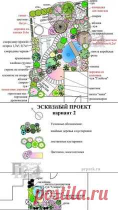Планы, генплан, разбивочный чертеж, проект, дизайн-проект, дендроплан, посадочный чертеж | Природный Парк Дизайн