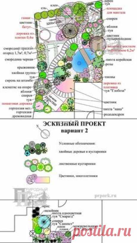 Планы, генплан, разбивочный чертеж, проект, дизайн-проект, дендроплан, посадочный чертеж | Природный Парк Дизайн