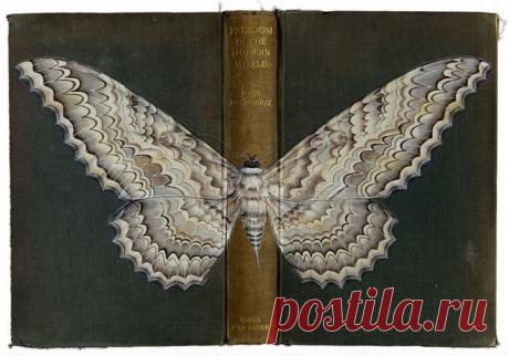 Картинки животных для декупажа | Записи в рубрике Картинки животных для декупажа | Дневник Фирдаус