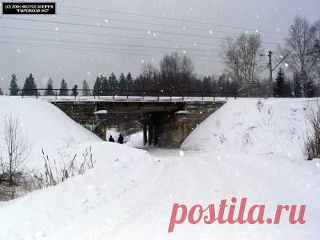 Просмотр фотографии