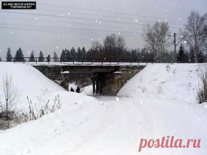 Просмотр фотографии