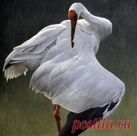 1310901569_defensive-stand-1999_www.nevsepic.com.ua.jpg (1032×1024)