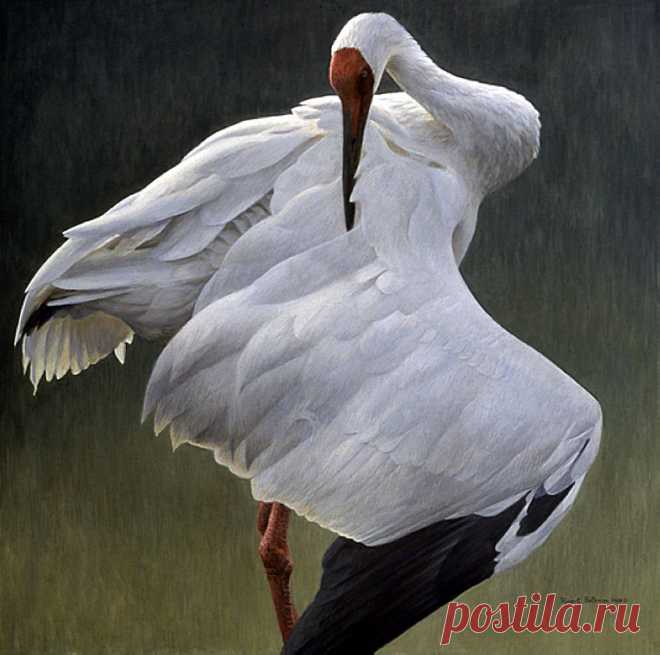 1310901569_defensive-stand-1999_www.nevsepic.com.ua.jpg (1032×1024)