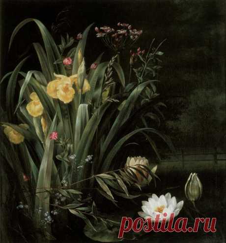 6731199.jpg (1118×1200)