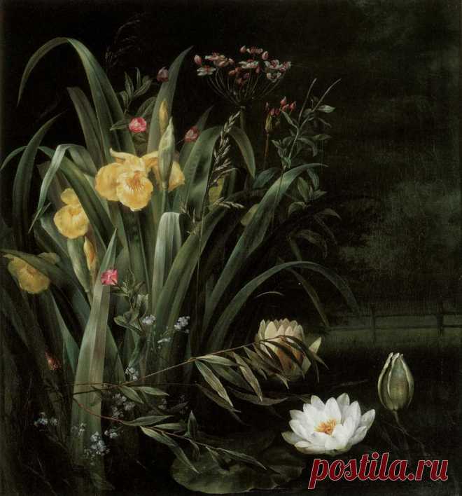 6731199.jpg (1118×1200)