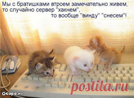 Домашний сисадмин. | KotoMail.ru