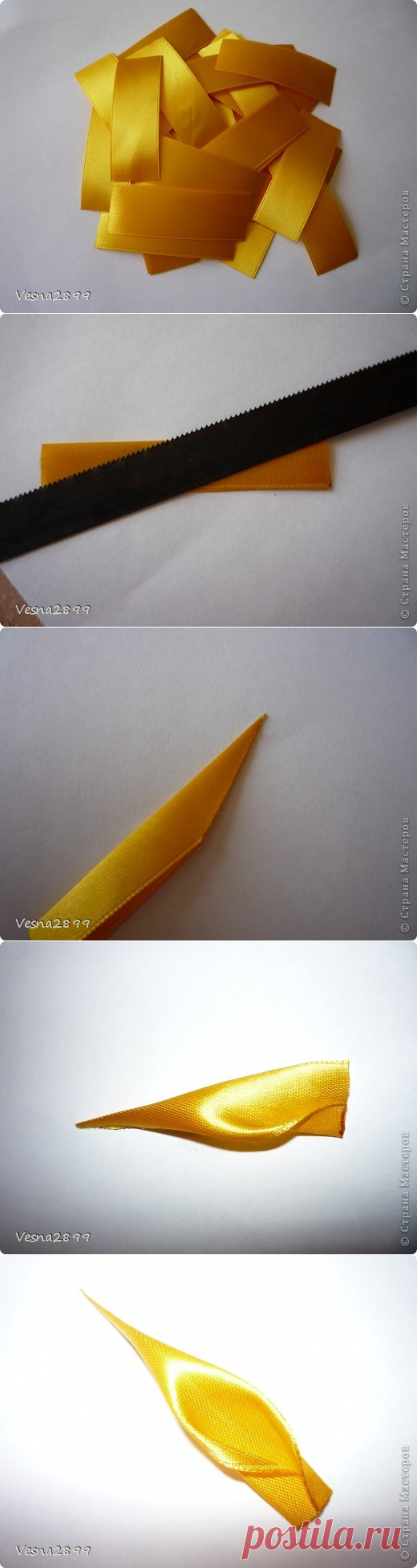 МК хризантема остролистная.