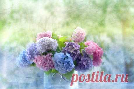 Nature___Flowers_Beautiful_