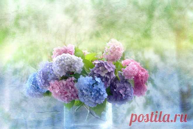 Nature___Flowers_Beautiful_