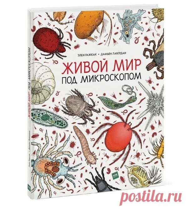 Повсюду, где бы мы ни оказались, нас окружают невидимые миры. Населяющие их животные такие крохотные, что их невозможно увидеть невооруженным глазом. И тем не менее они есть везде — на поверхности океана и морском побережье, в лесной подстилке и на кухне у нас дома, в постельном белье и даже на нашей собственной коже. Благодаря кипучей деятельности этих микроскопических существ на планете поддерживается природное равновесие. Книга позволяет не только прочитать о них, но и подробно их…
