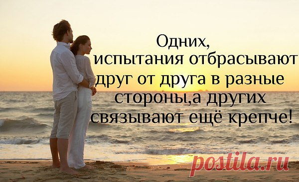 День поцелуев … Кто-то очень романтичный
Постановил его как праздник отмечать.
День поцелуев… Повод нынче есть отличный
С утра до вечера кого-то целовать.
Давайте ж будем предаваться нежным ласкам
И окружающим тепло своё дарить.
Давайте верить нашим добрым светлым сказкам
И поцелуями о чувствах говорить!