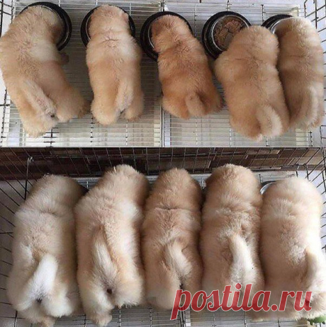 Все мы растем, но привычки с дества остаются)