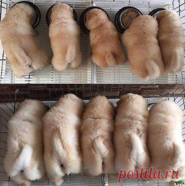 Все мы растем, но привычки с дества остаются)