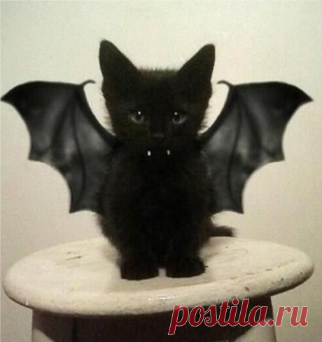 Стена