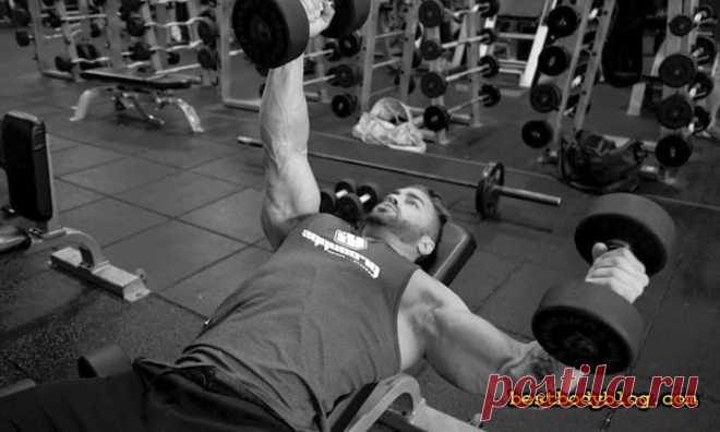 Разведения гантелей лежа. Лекарство от хилой груди | bestbodyblog.com