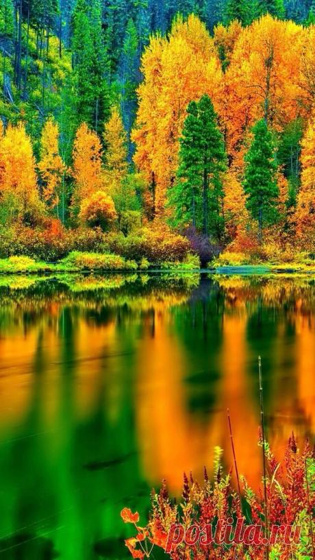 Fall scene beautiful amazing - Beautiful Pictures Amazing