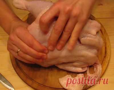 Удаление костей из курицы через место потрошения