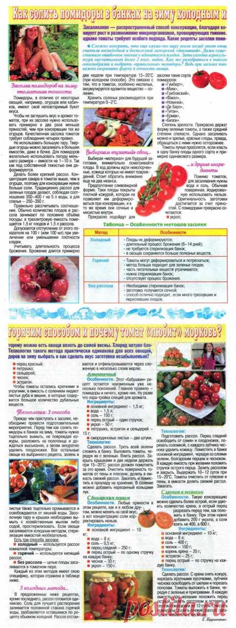 Как солить помидоры в банках на зиму холодным и горячим способами